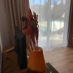 Iris Village Grand Apartmán Paphos